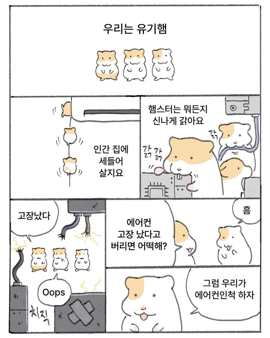 유기 햄스터 세마리_1.jpg