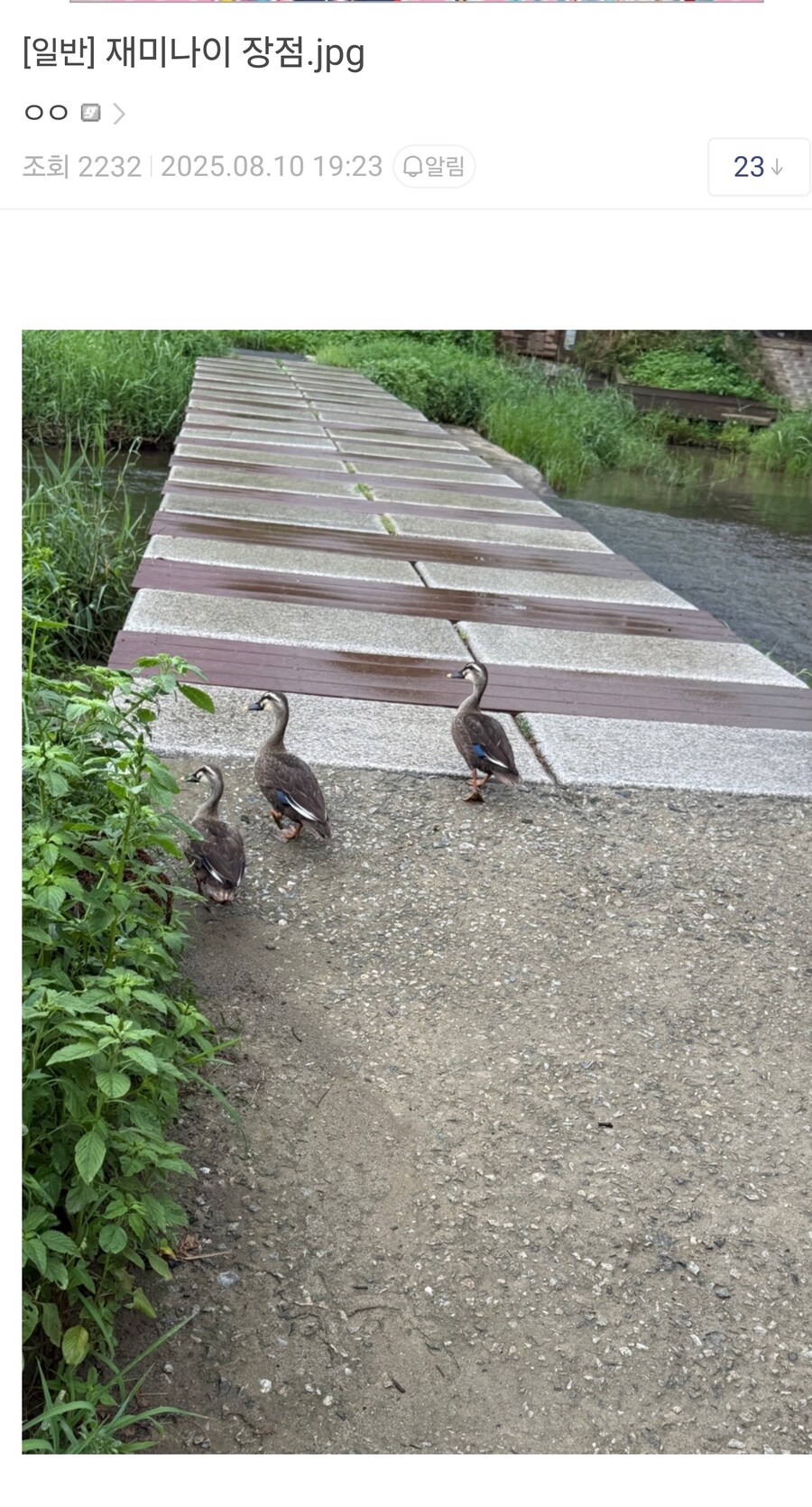 제미나이에게 팩폭 성격 주입한 디시인.jpg_1.jpg