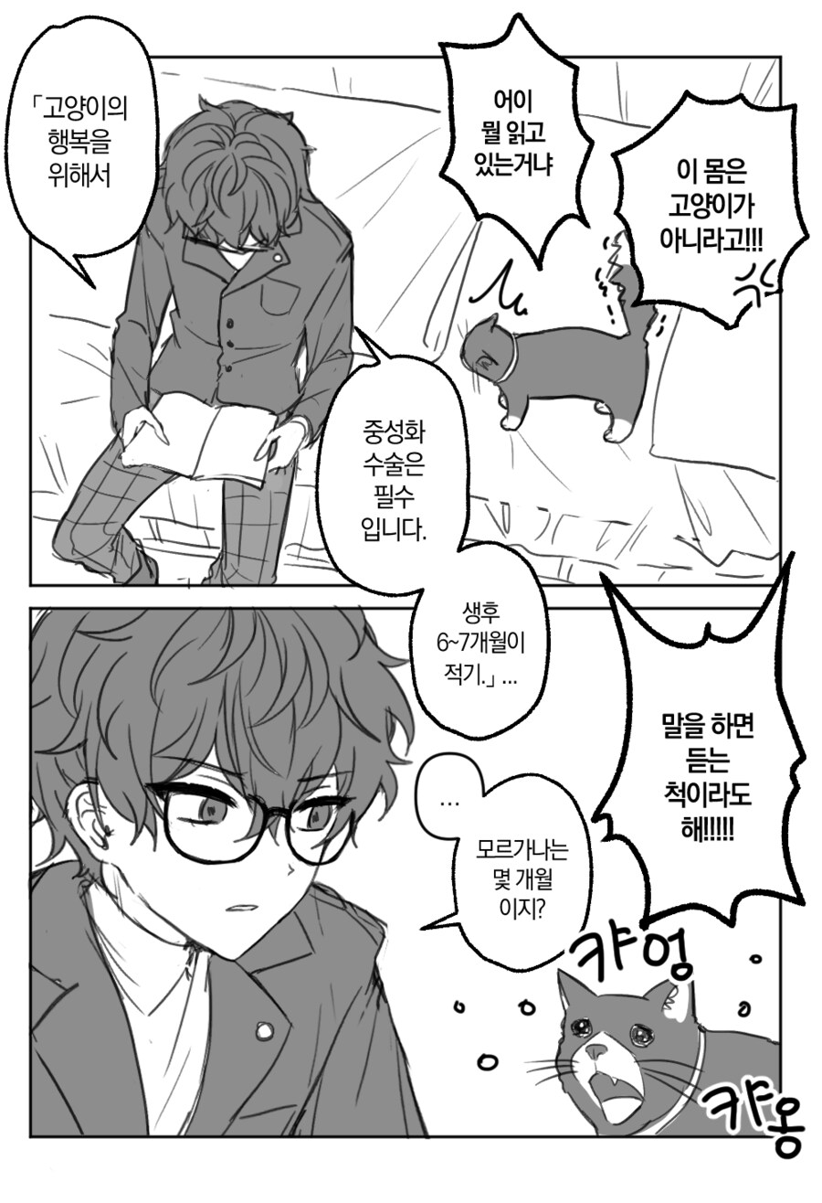 고양이 성불구자 만들기_1.png