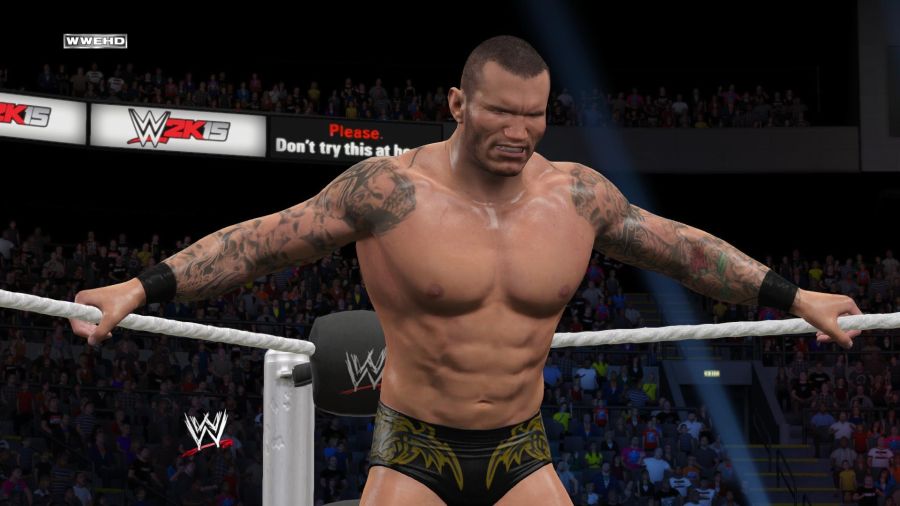 WWE 2K15_21.jpg