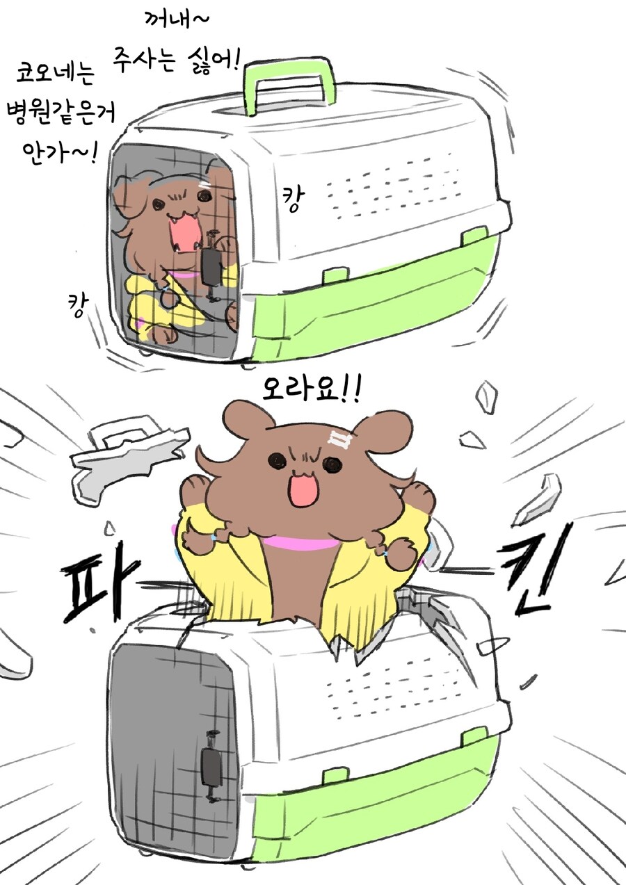 후라게는 보통 발매 순서에 따라 나오니_1.jpg