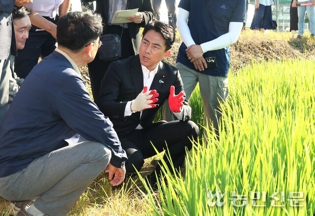 日 쌀문제 해법 , 한국서 찾는다 , 고이즈미 농림수산상_1.jpg