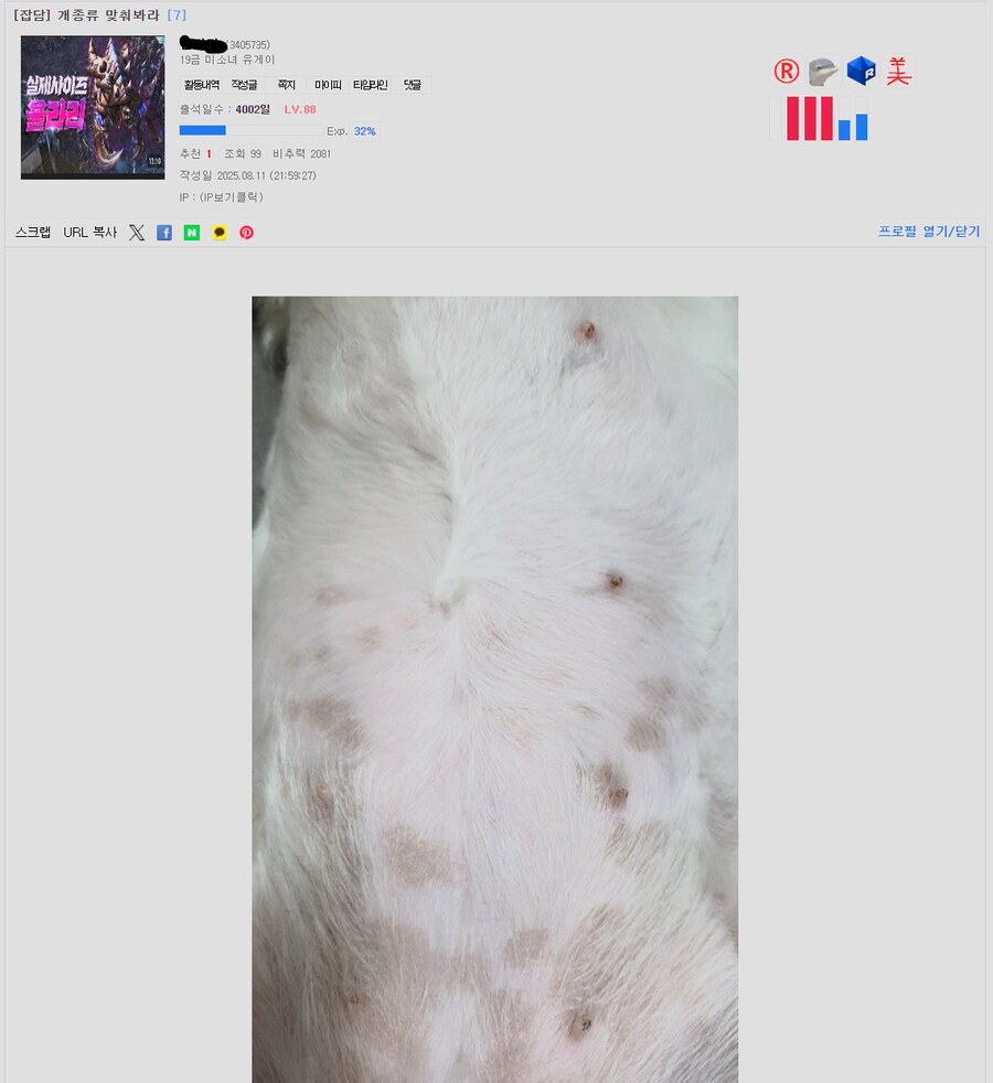 미쳐버린 유게 난이도. 개 ㅈㄲㅈ 보고 종류를 맞추라고함._1.png