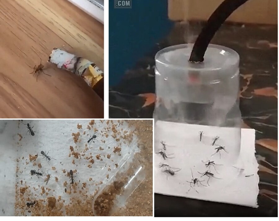 아무리 잔인하게 죽여도 욕 안먹는 동물.mp4_1.jpg