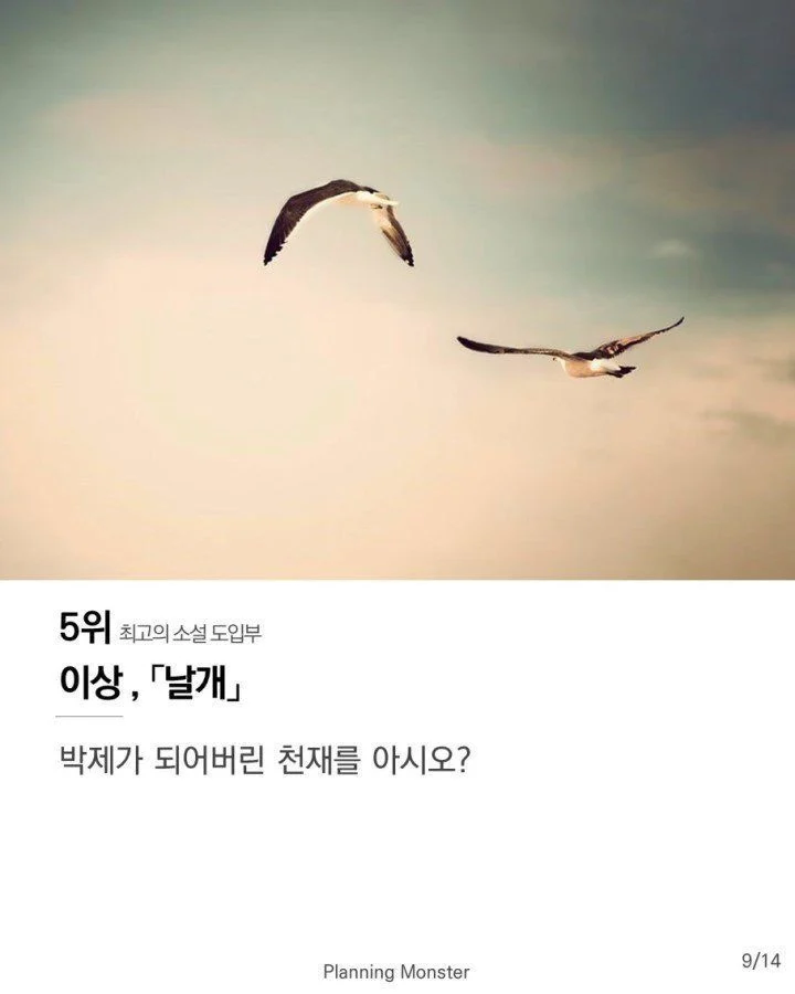 소설의 도입부 최고의 첫 문장들_10.webp
