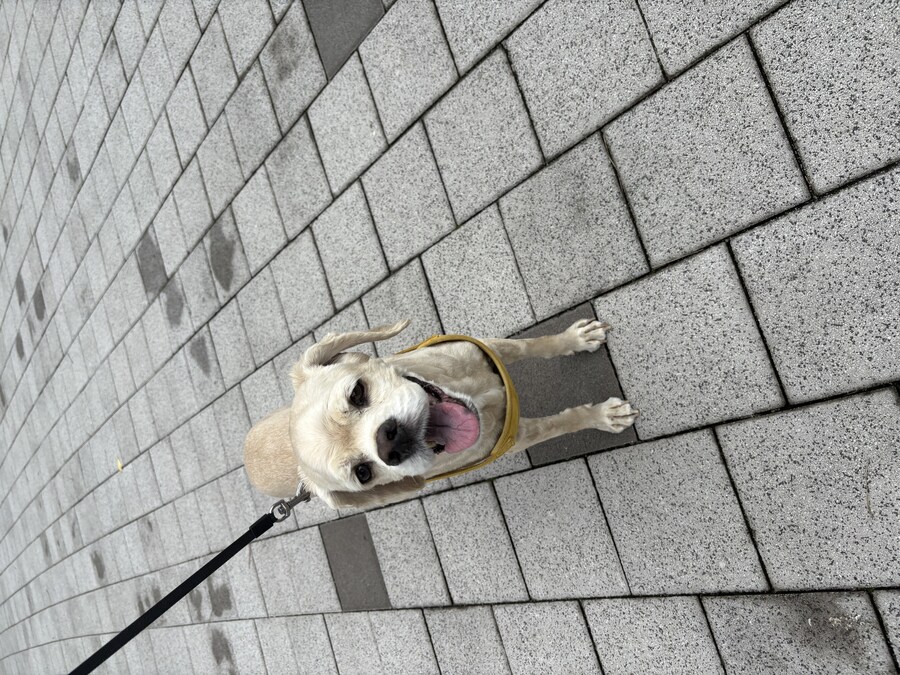 그렇게됐다 할배야_5.jpg