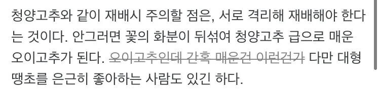 옆집에서 청양고추 키우면 우리집 고추도 매운거 랜덤되긴 함_1.jpg