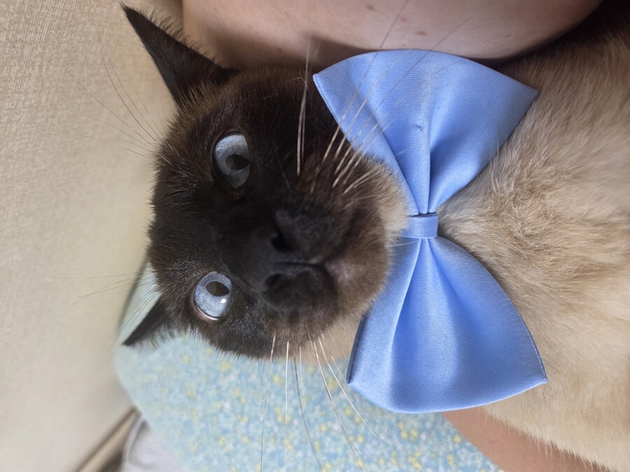 귀여우면 저녁 먹음_10.jpg