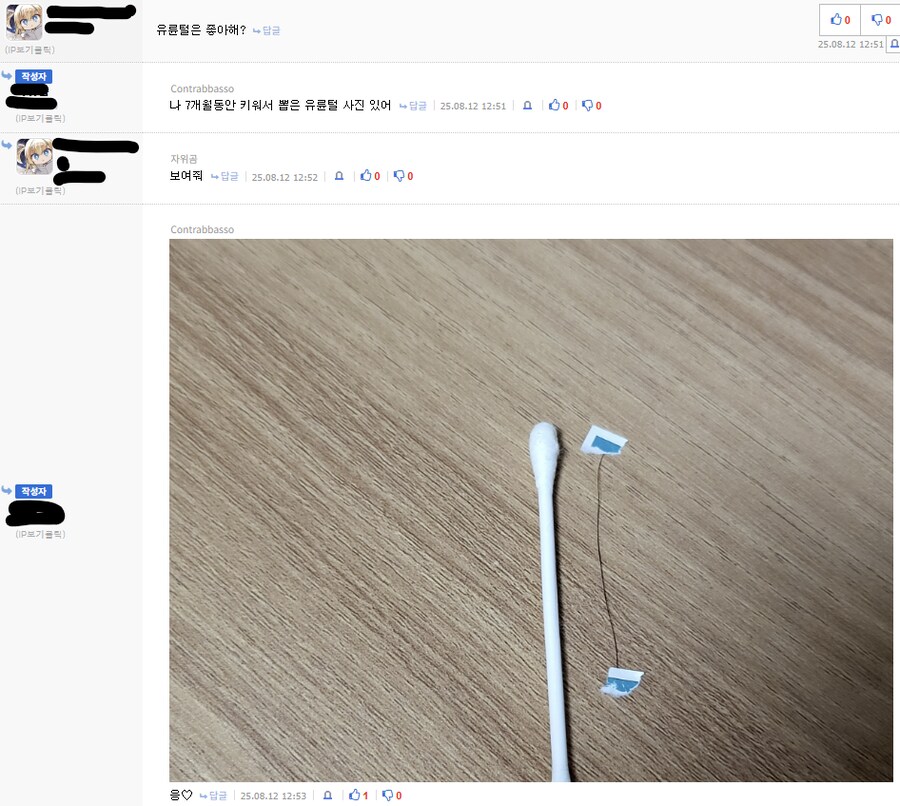 흔한 디씨의 인증_1.png
