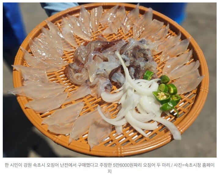 "오징어회 2마리 5만6000원, 이게 맞냐"…속초 또 '발칵'_1.png