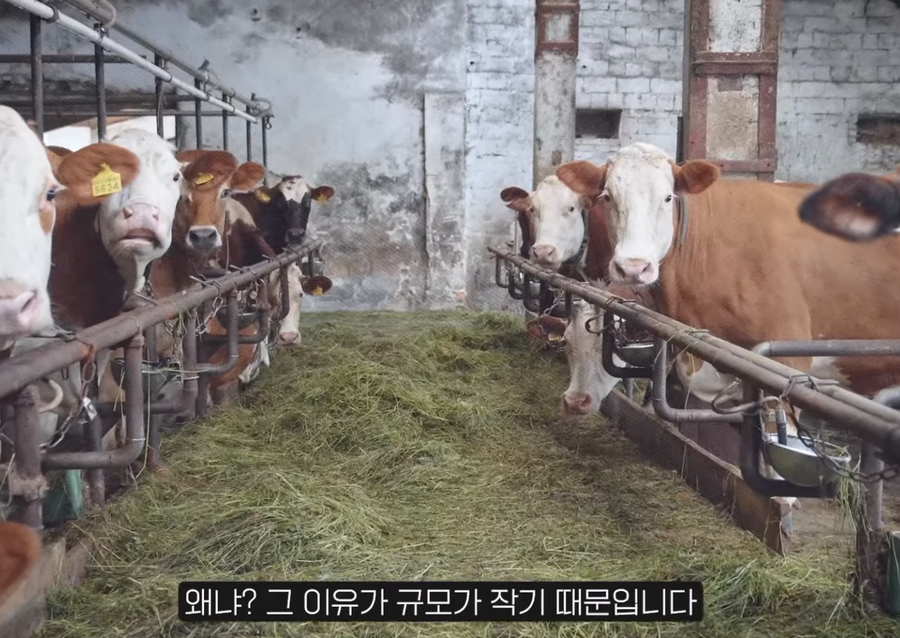 공정위가 빵값 실태조사해놓고 발표를 안한 이유_7.webp