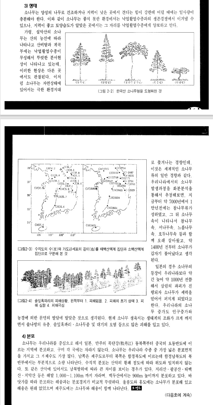 한국에서 소나무가 주종인 이유가 있었음._1.jpg