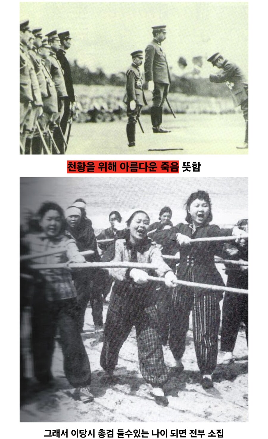 일제말기 일본군부가 만든 군사작전_3.jpg