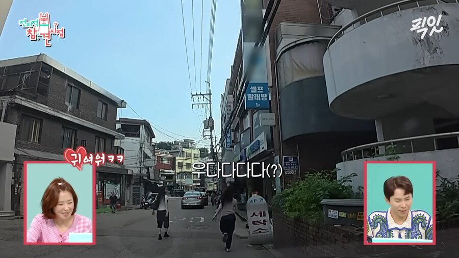 유튜브) 댕댕미 터지는 이세희_18.png