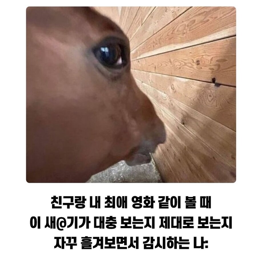 내가 추천한 최애영화 친구랑 같이 보는데 내가 재밌다고 하는 부분 나올때_1.jpg