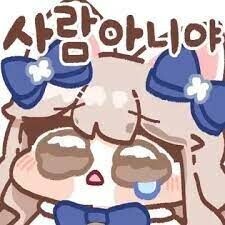 ㅇㅇㄱ) 펨코 숲갤 비추찍고 난리난 거 개웃기네_1.jpg