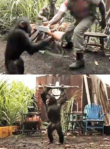 ㅇㅇㄱ) 얘들이 빡친 이유는 간단함_1.jpg