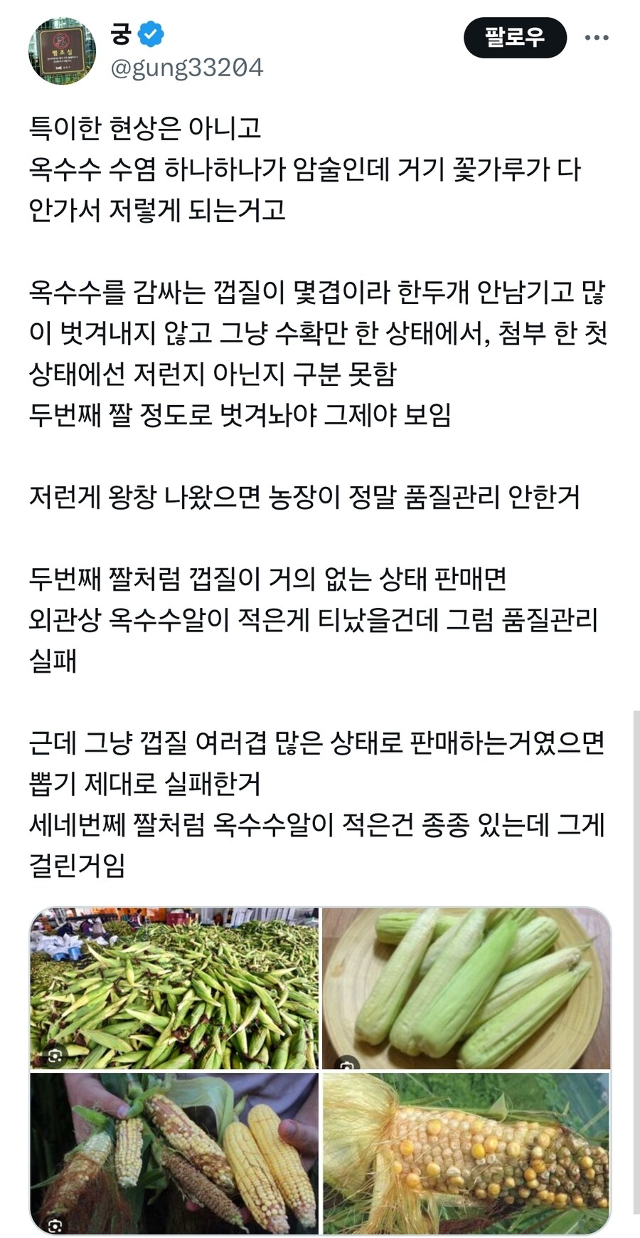 아이돌 콘서트 옥수수 논란_3.jpg