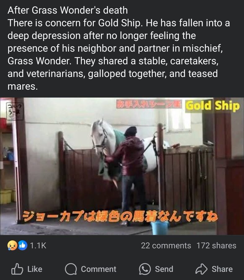 말딸) 고루시 :..._2.jpg