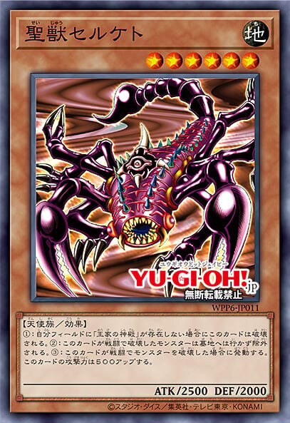 [월드 프리미어 팩 2025]각인을 가진 자 포함 10장&재록 4장_12.jpg