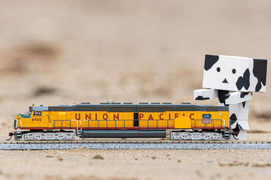 단보 사진 몇장_3.jpg