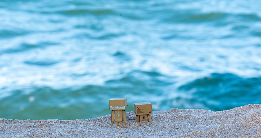 단보 사진 몇장_4.jpg