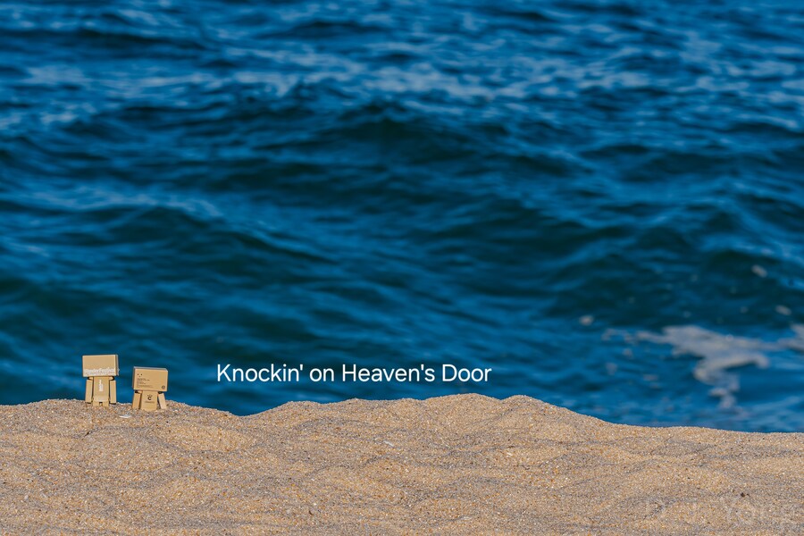 단보 사진 몇장_1.jpg