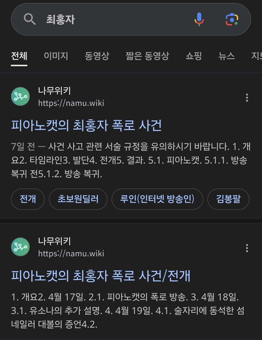 ㅇㅇㄱ) 최홍자 검색하면 나오는 나무위키 항목_1.jpg