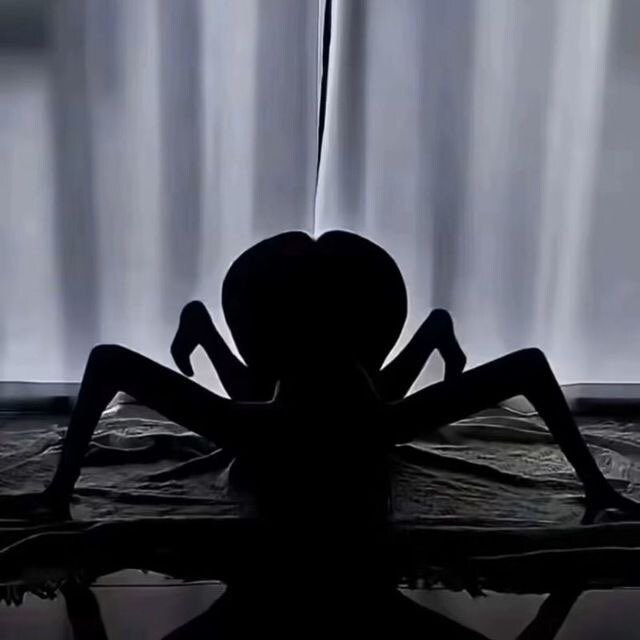 모닝 거미짤.jpg_1.jpg