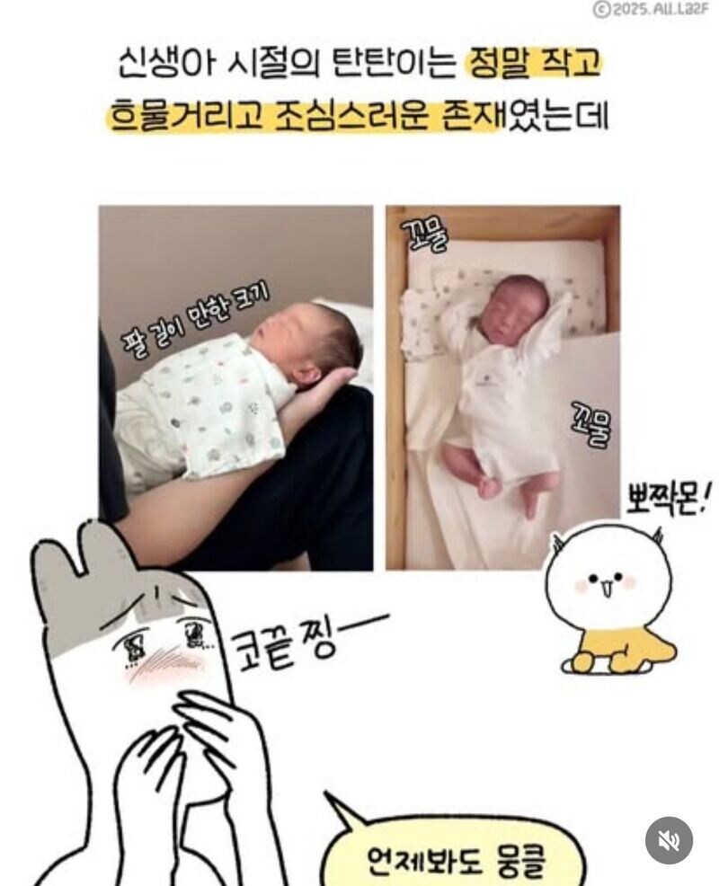육아툰 만화가가 아기를 근육맨으로 그리는 이유.jpg_3.jpg