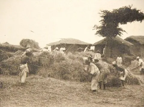 만주족과 몽골족을 몰락시킨 의외의 존재들_1.webp