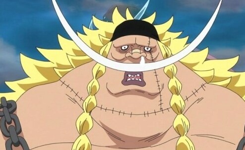 원피스) 징베가 의리충이라는 소문이 난 이유_3.png