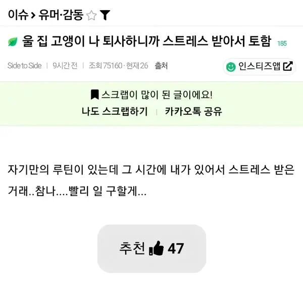 퇴사하니까 고양이가 스트레스 받아서 토함_1.webp