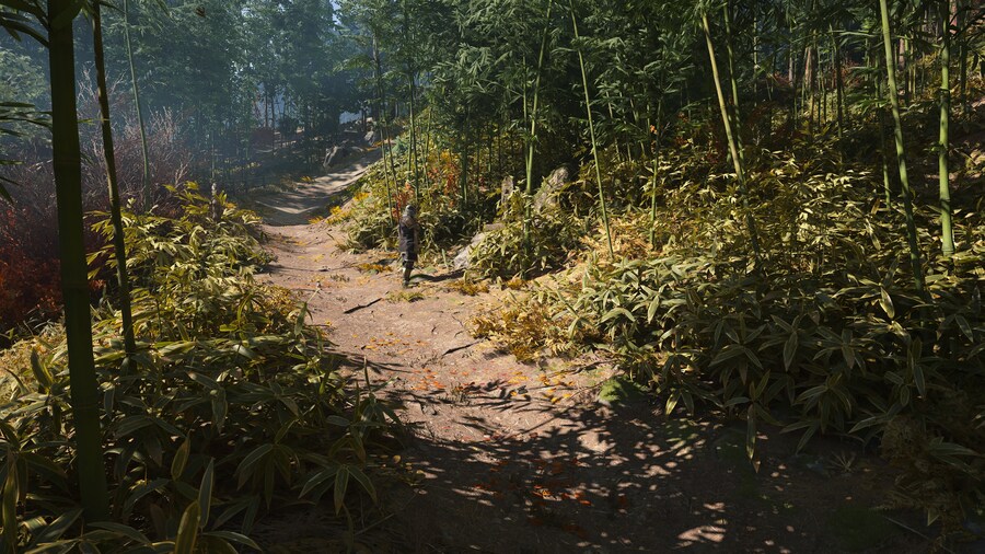 Assassin's Creed® Shadows_9.jpg