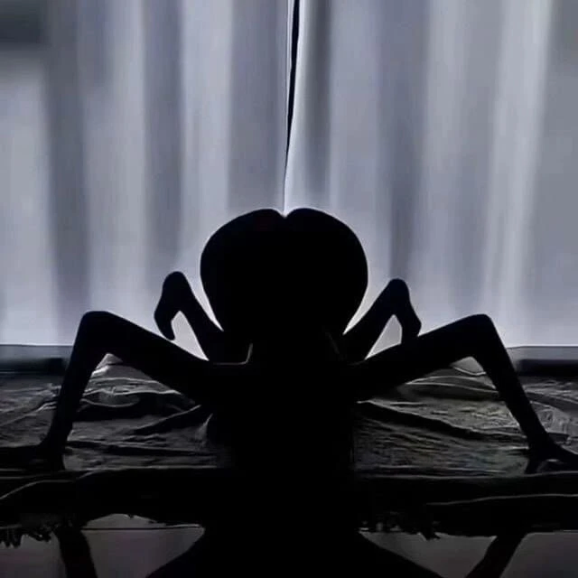 공포) 초대형 거미_1.webp