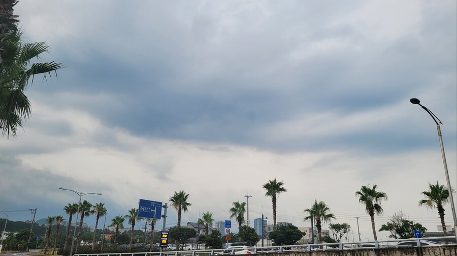 음게에 처음써보는 먹으러 떠난 제주도(죄수번호라 죄송합니다)_3.jpg