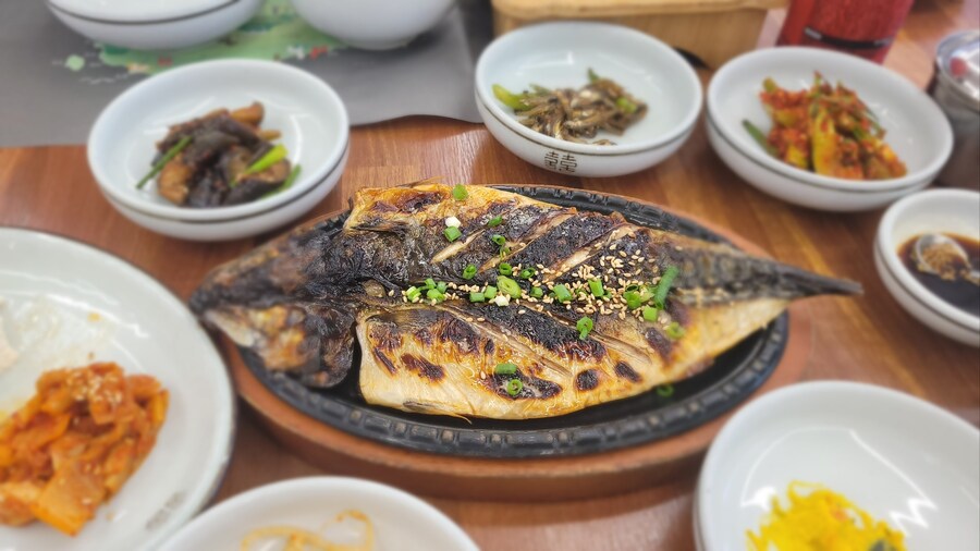 음게에 처음써보는 먹으러 떠난 제주도(죄수번호라 죄송합니다)_15.jpg