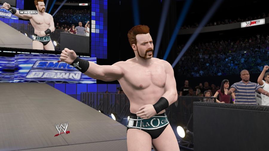 WWE 2K15_35.jpg
