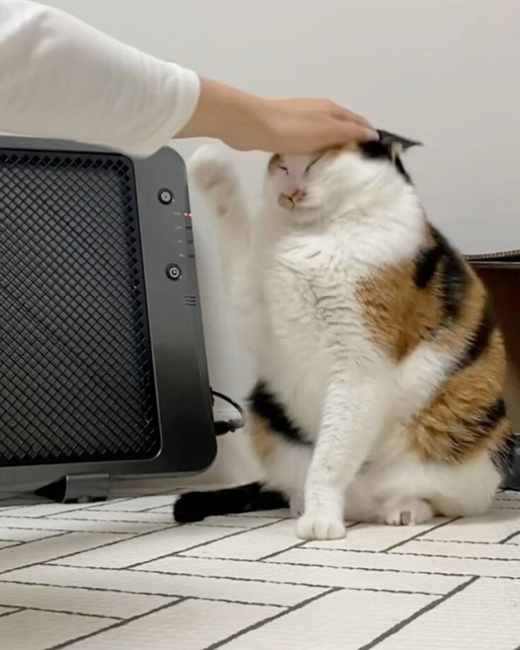 아 집사 진짜 짜증나.jpg_3.jpg