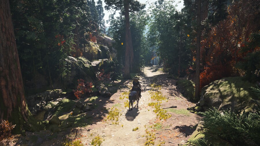 Assassin's Creed® Shadows_2.jpg