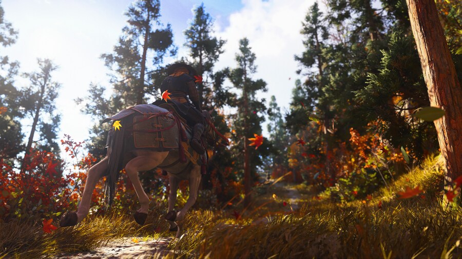 Assassin's Creed® Shadows_4.jpg