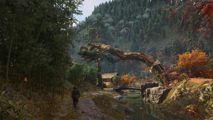 Assassin's Creed® Shadows_15.jpg