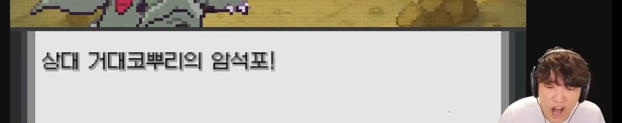 포켓몬 웅이한테 개털린 스트리머.jpg_45.jpg
