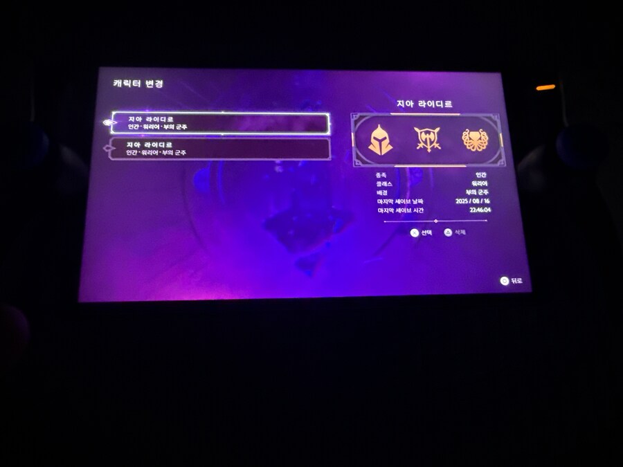 베일가드 캐릭터 외형이나 세이브 다운 질문좀요.._1.jpg