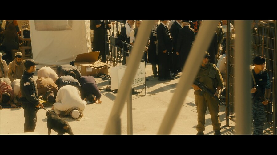 월드워z) 에서 가장 판타지스러운 요소_7.png