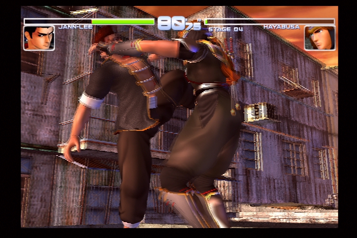 DEAD OR ALIVE 2_13.jpg