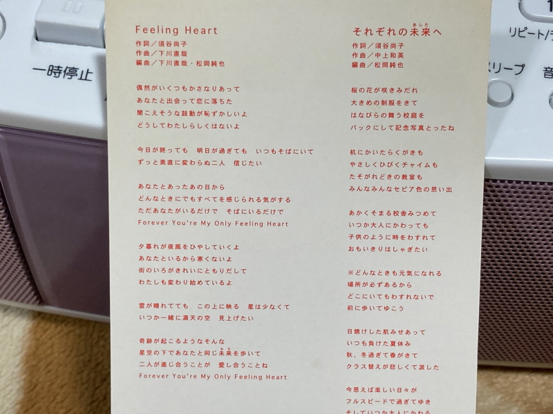 투하트(필링 하트) & 화이트 앨범(파우더 스노우)_24.jpg