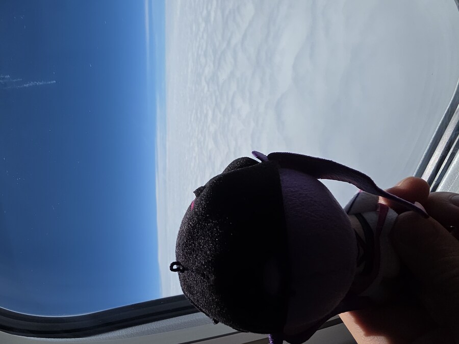 버튜버/초스압)카나타 라이브 관람 겸 여행 후기_4.jpg