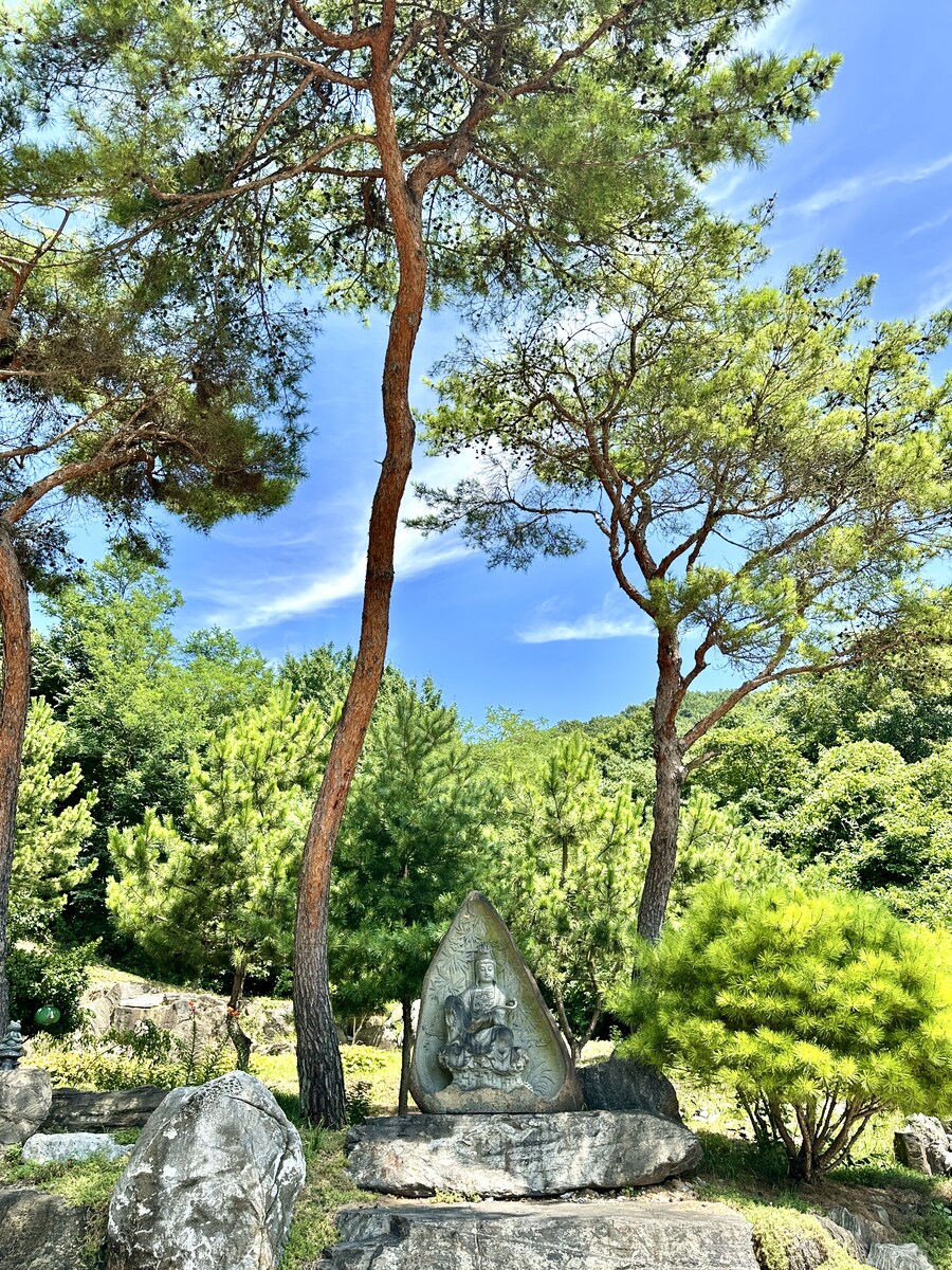 논산 반야사,익산 미륵사지_13.jpg