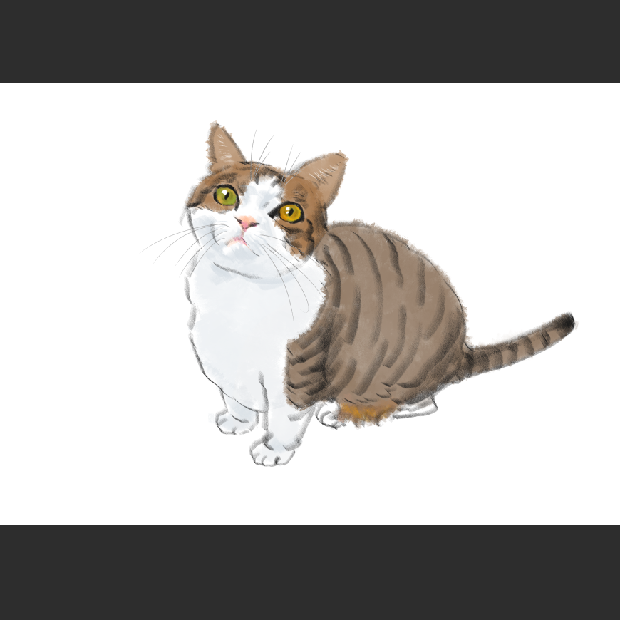 고양이) 넘으집 고양이_1.png